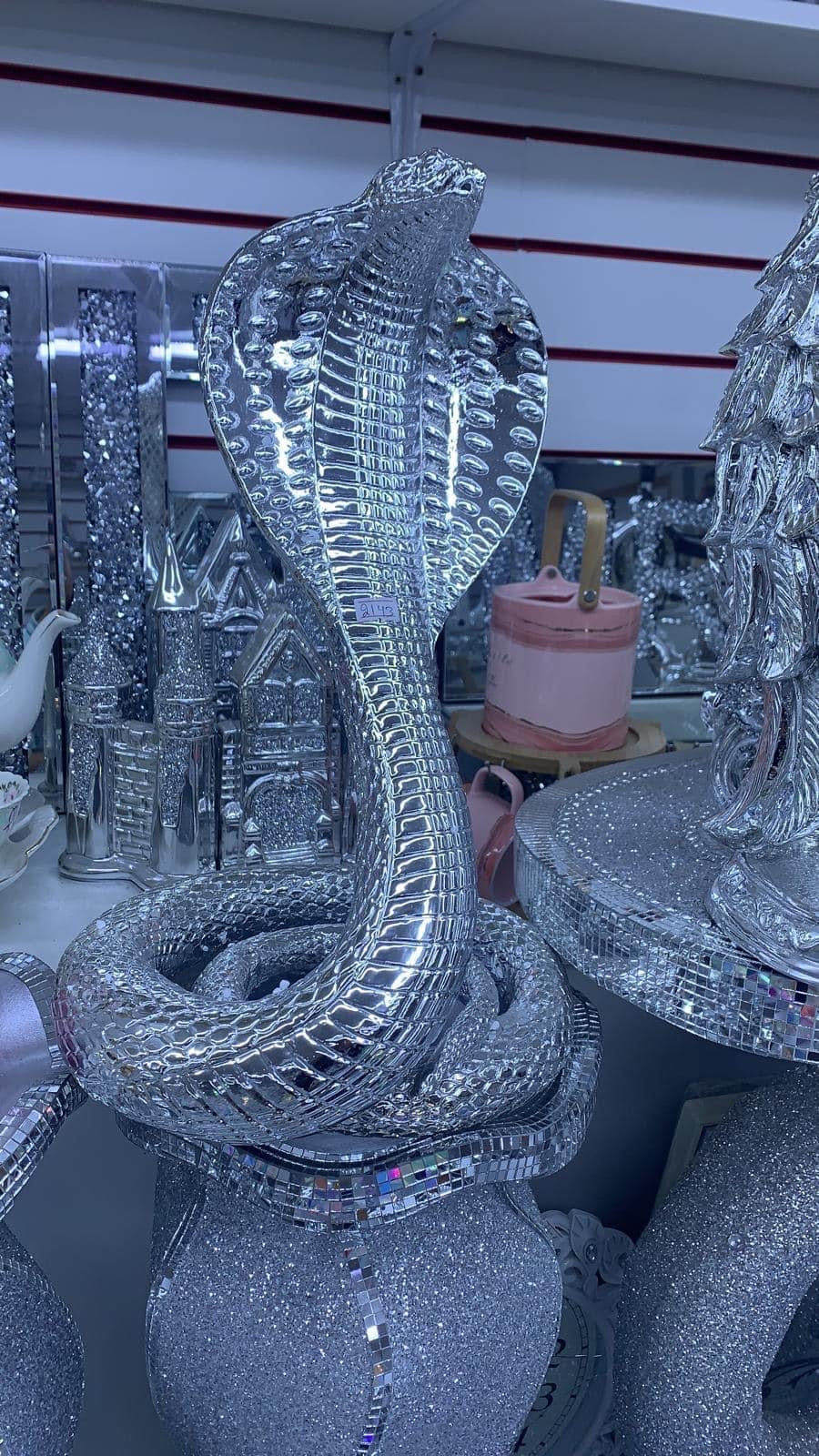 Large silver snake